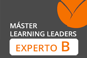 Experto B Learning Leaders