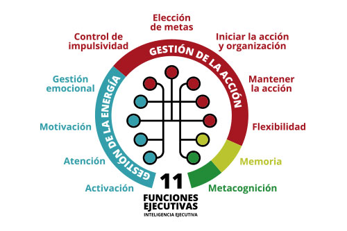 Funciones_ejecutivas_web