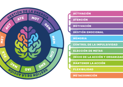 Experto en Funciones ejecutivas