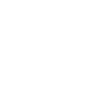 icono-check-mark